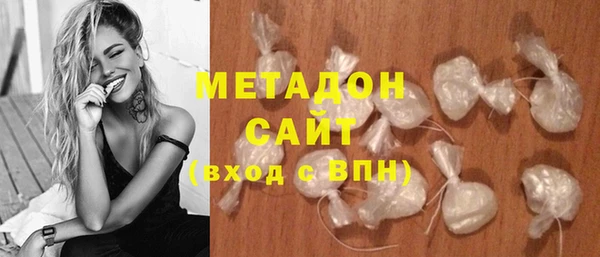 прущие грибы Дмитровск