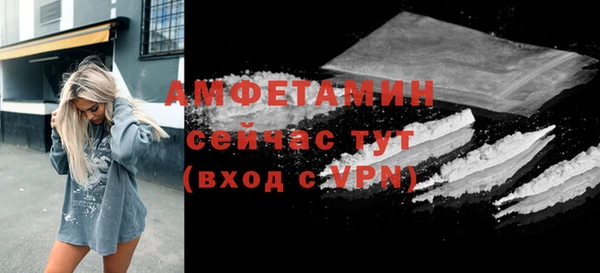 прущие грибы Дмитровск