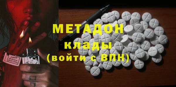 прущие грибы Дмитровск
