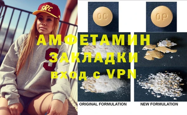 прущие грибы Дмитровск