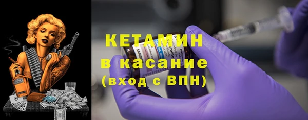 прущие грибы Дмитровск