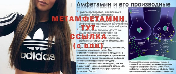 прущие грибы Дмитровск