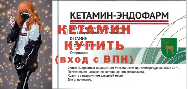 прущие грибы Дмитровск